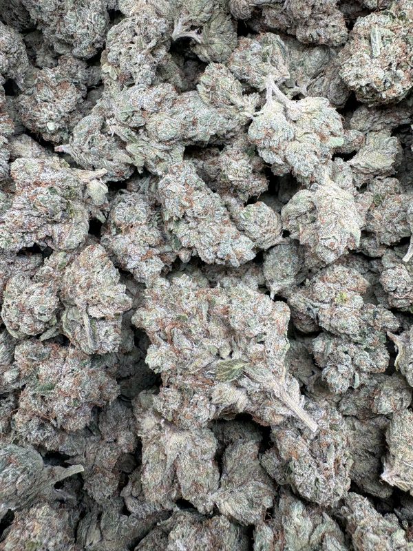 SFV OG ($150/oz!!)