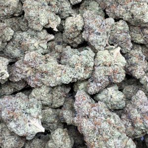 King Louis XIII