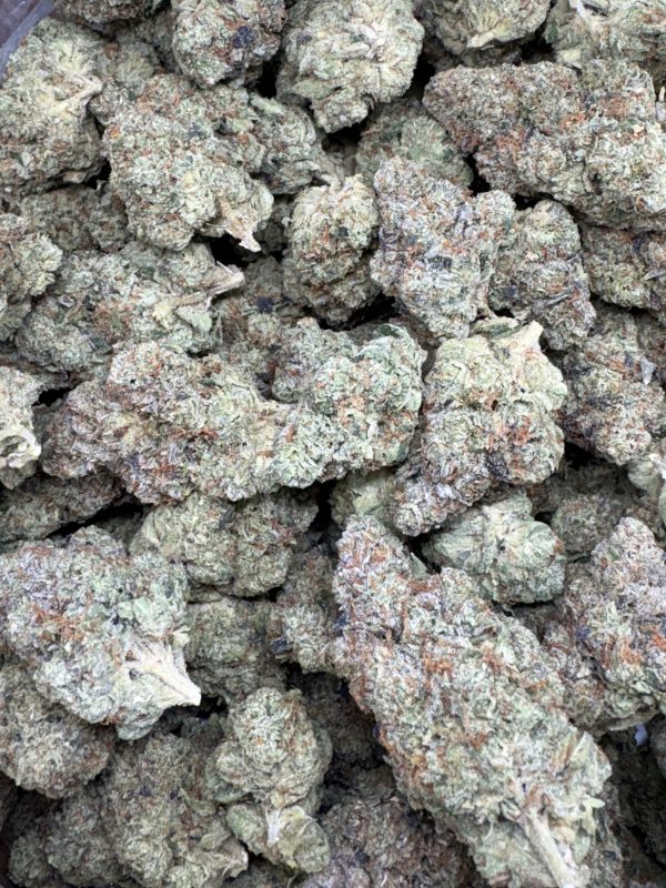 King Louis XIII