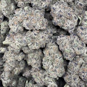 Government Oasis $100/oz!!