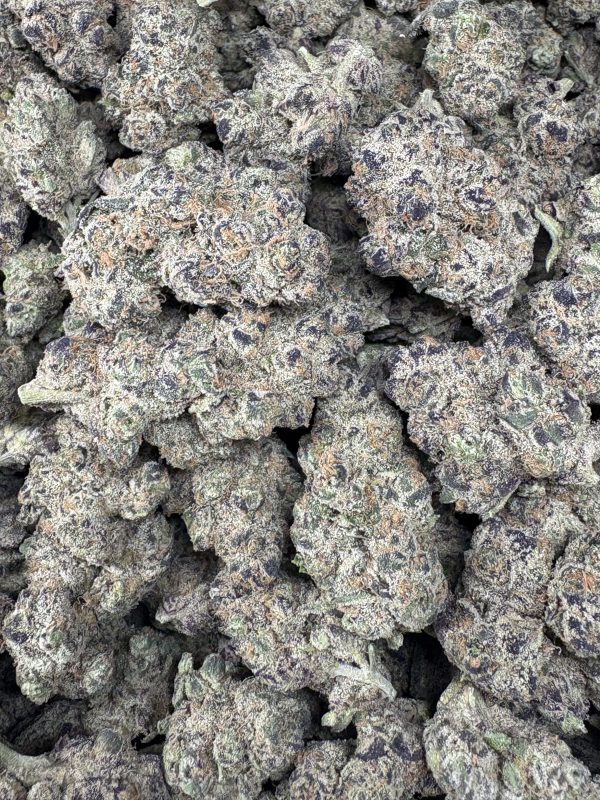Government Oasis $100/oz!!