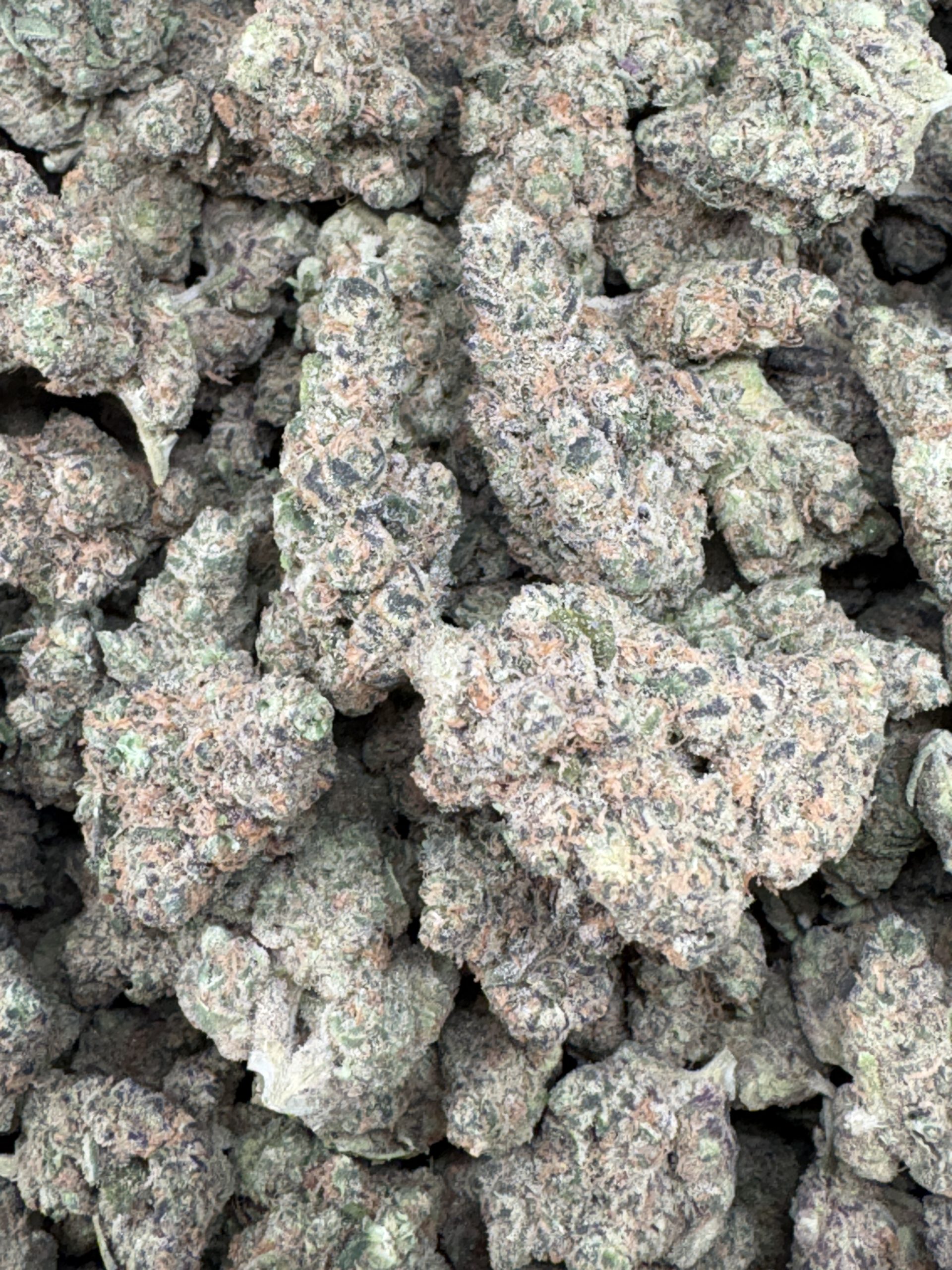 Platinum Girl Scout Cookies $100/oz!!