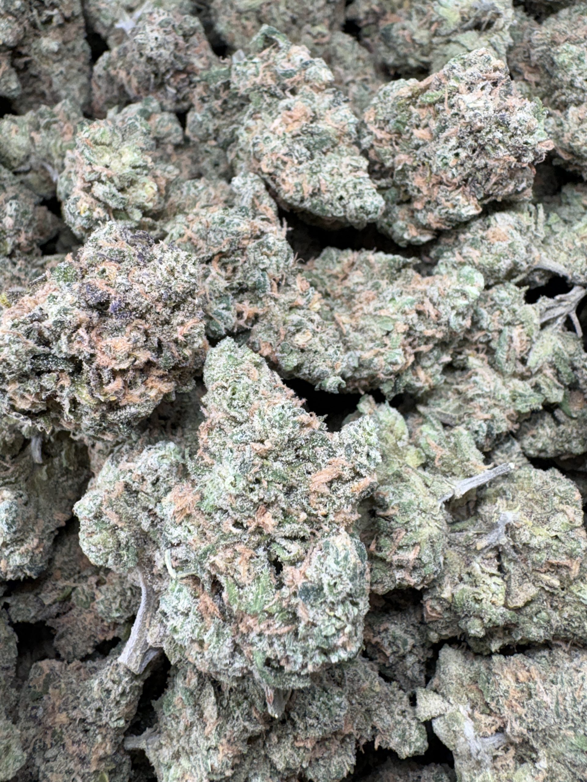 Blue Dream $150/oz!!