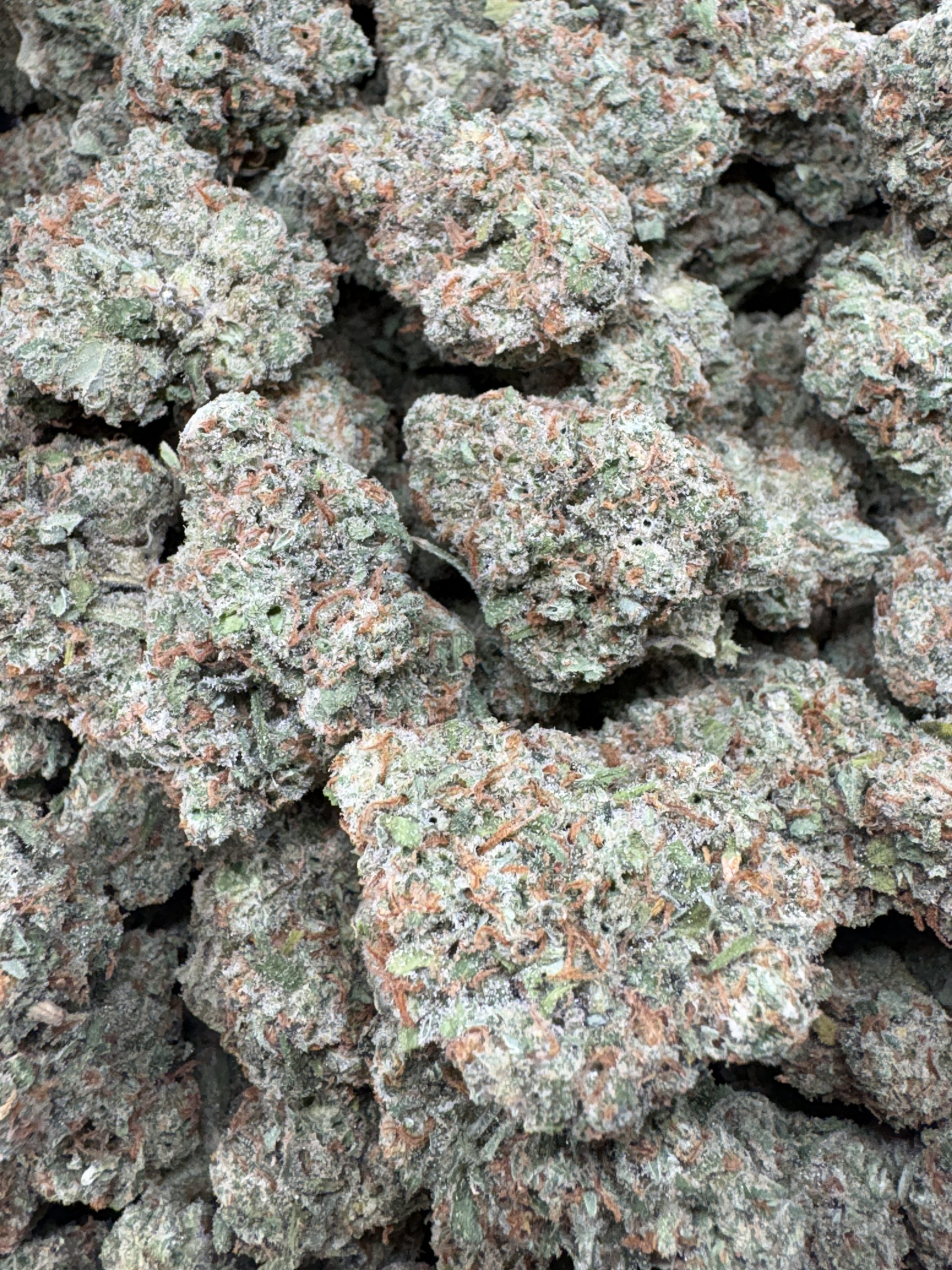 Jack Herer $125/oz!!