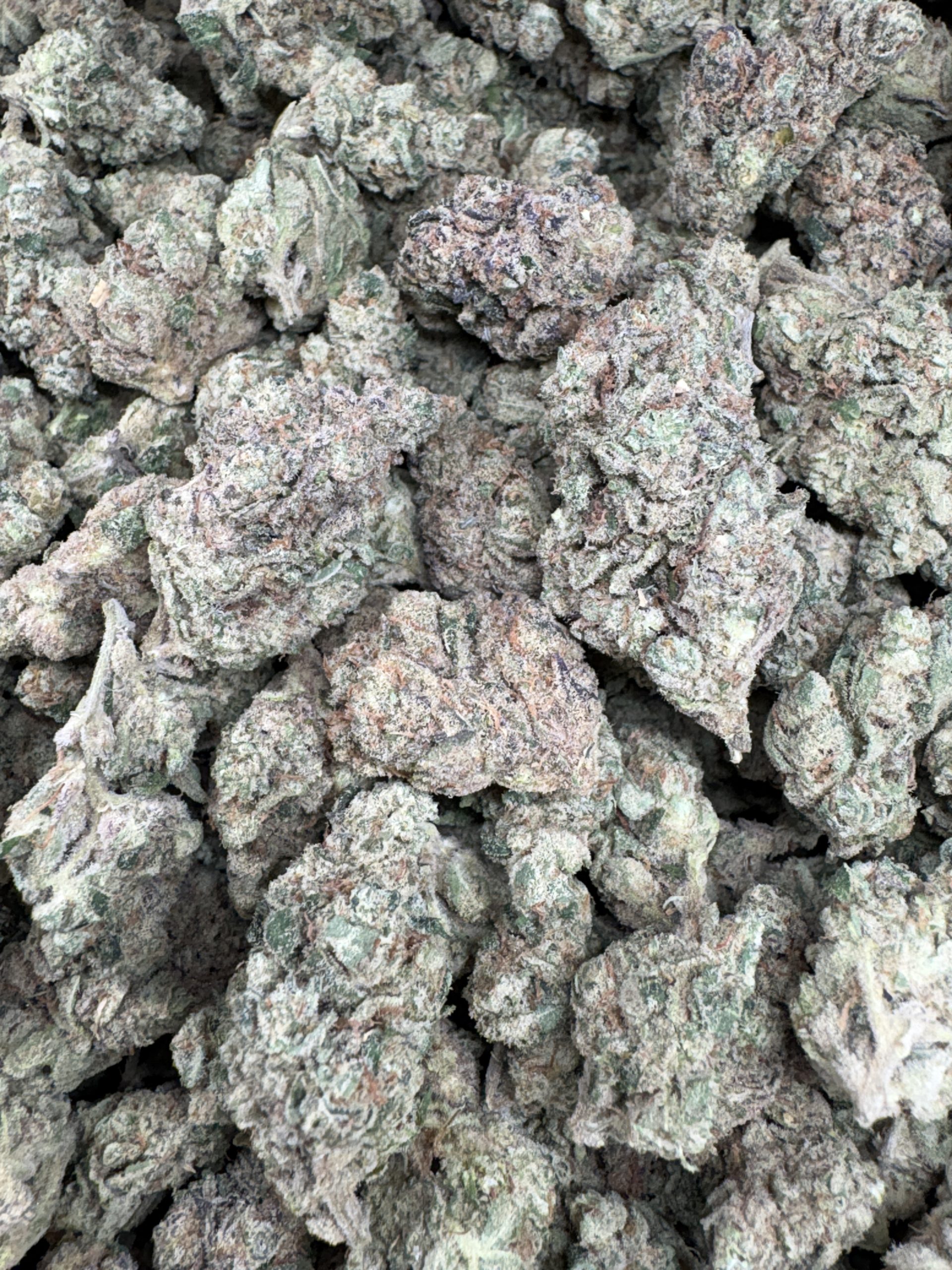 Sherbacio x Sweet Tea $100/oz!!