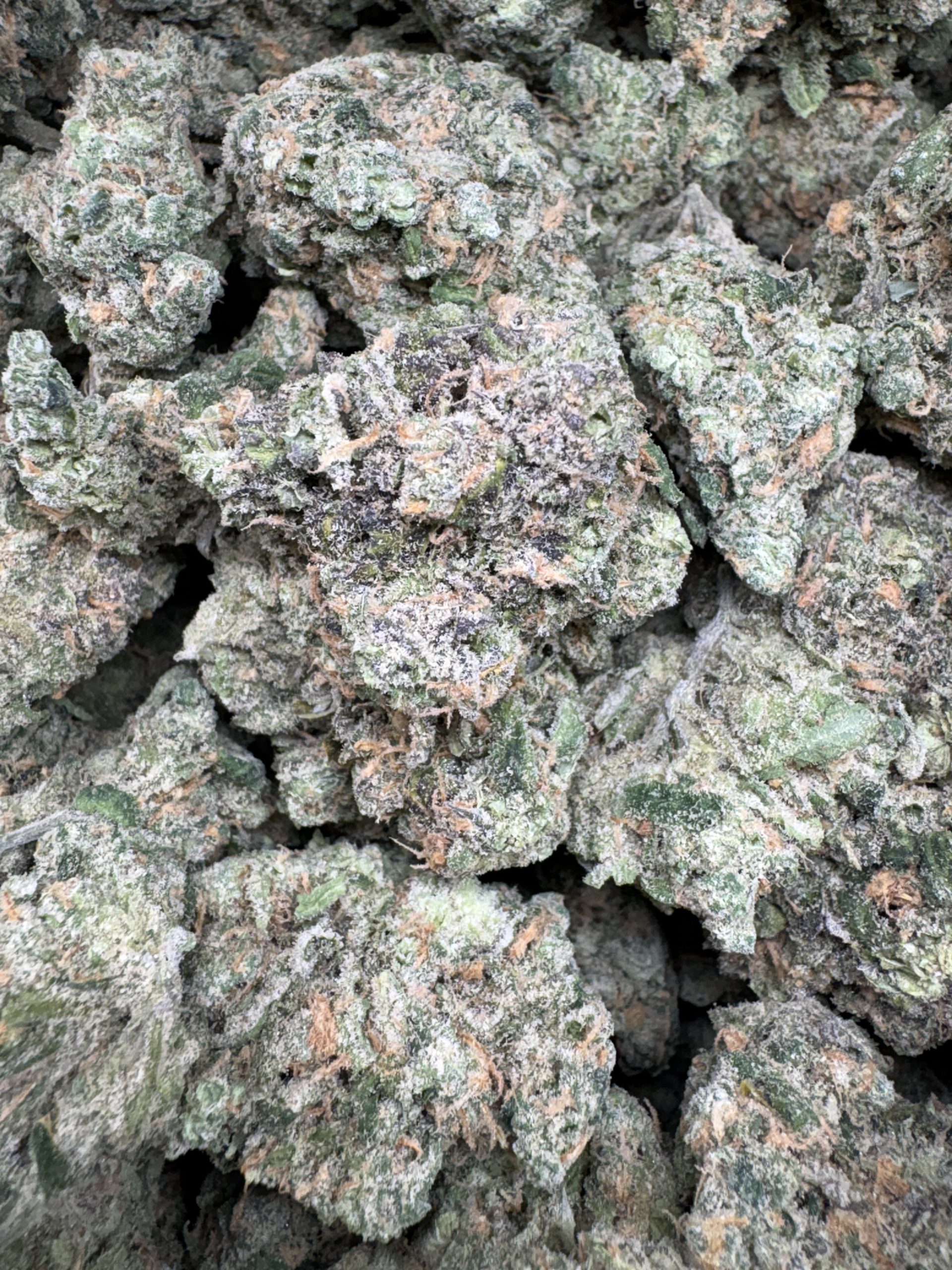 Blue Dream $125/oz!!