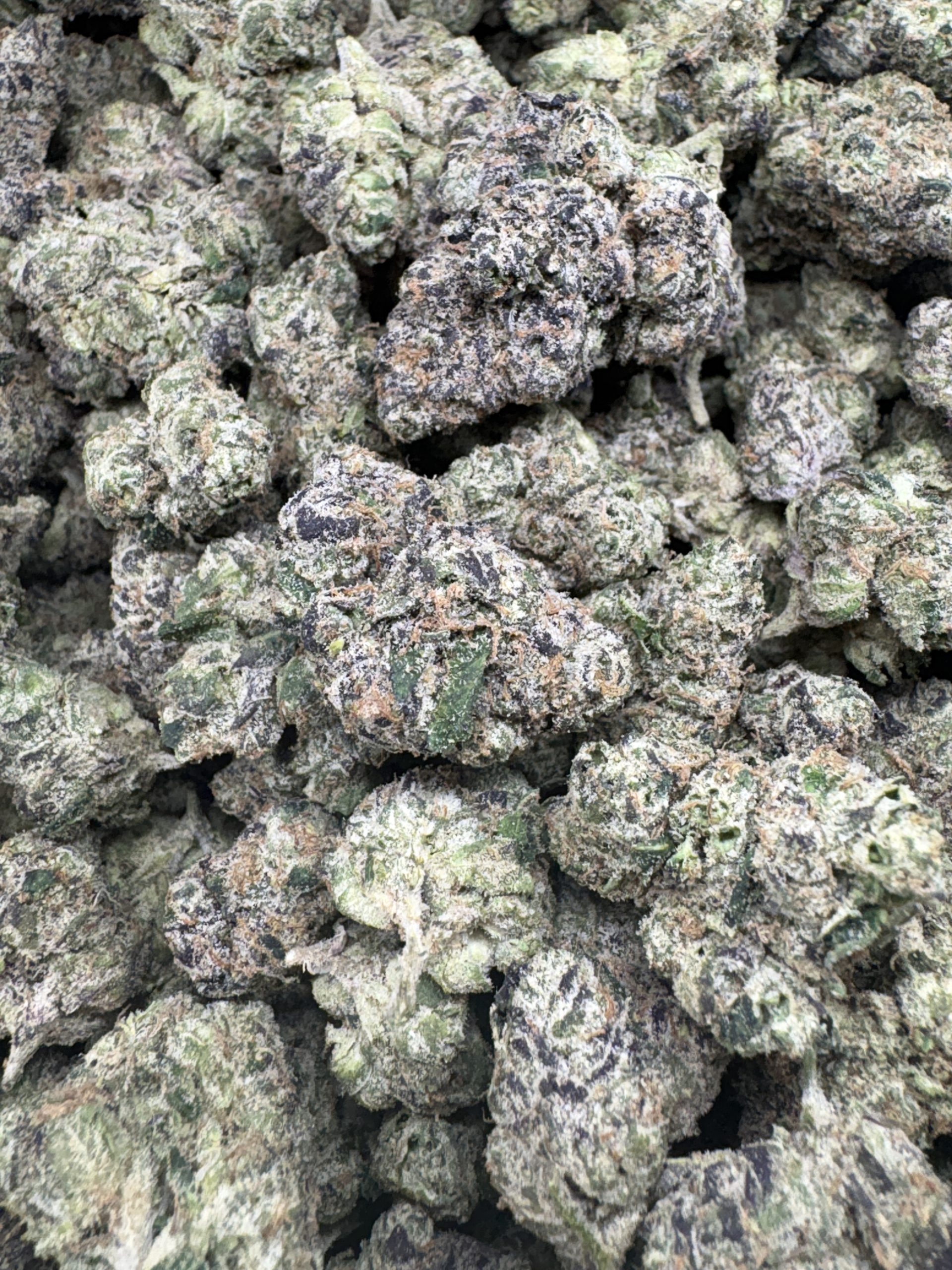 Blue Lobster $125/oz!!
