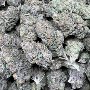 Runtz $90/oz!!