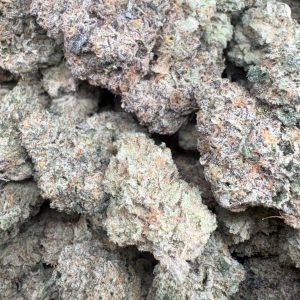 Mount Zereal Kush (CBX)