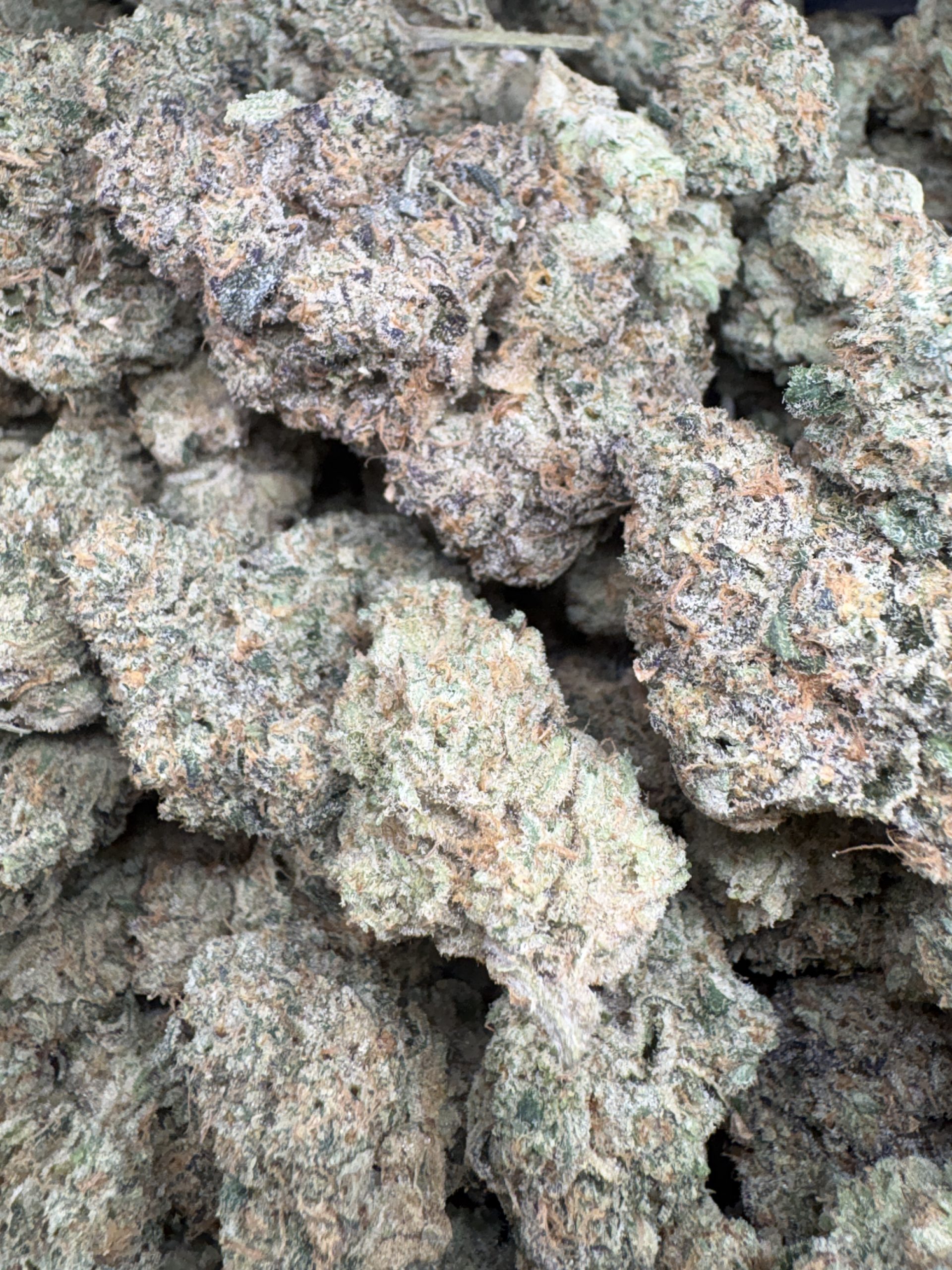 Mount Zereal Kush (CBX)