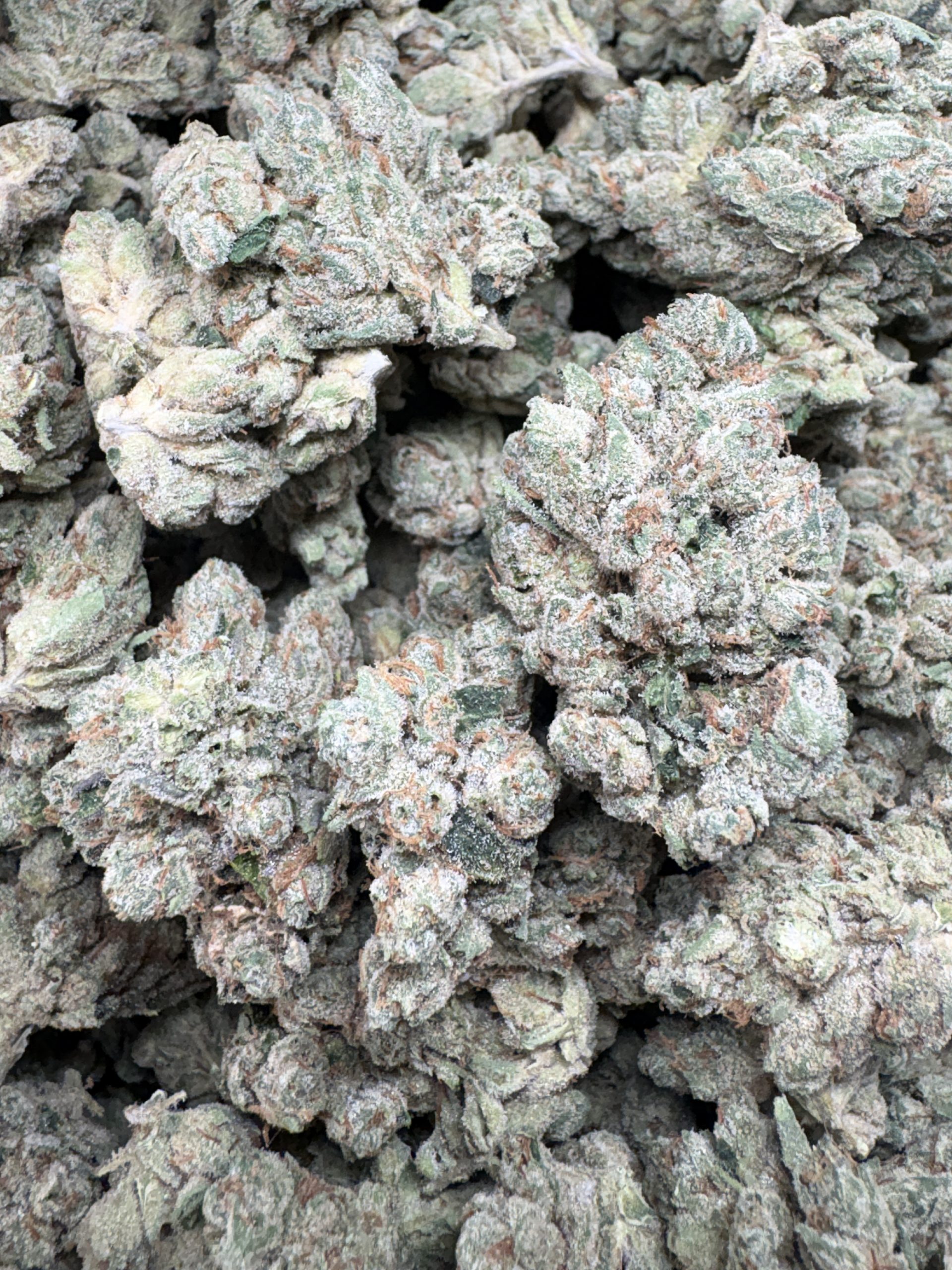 Paris OG $125/oz!!
