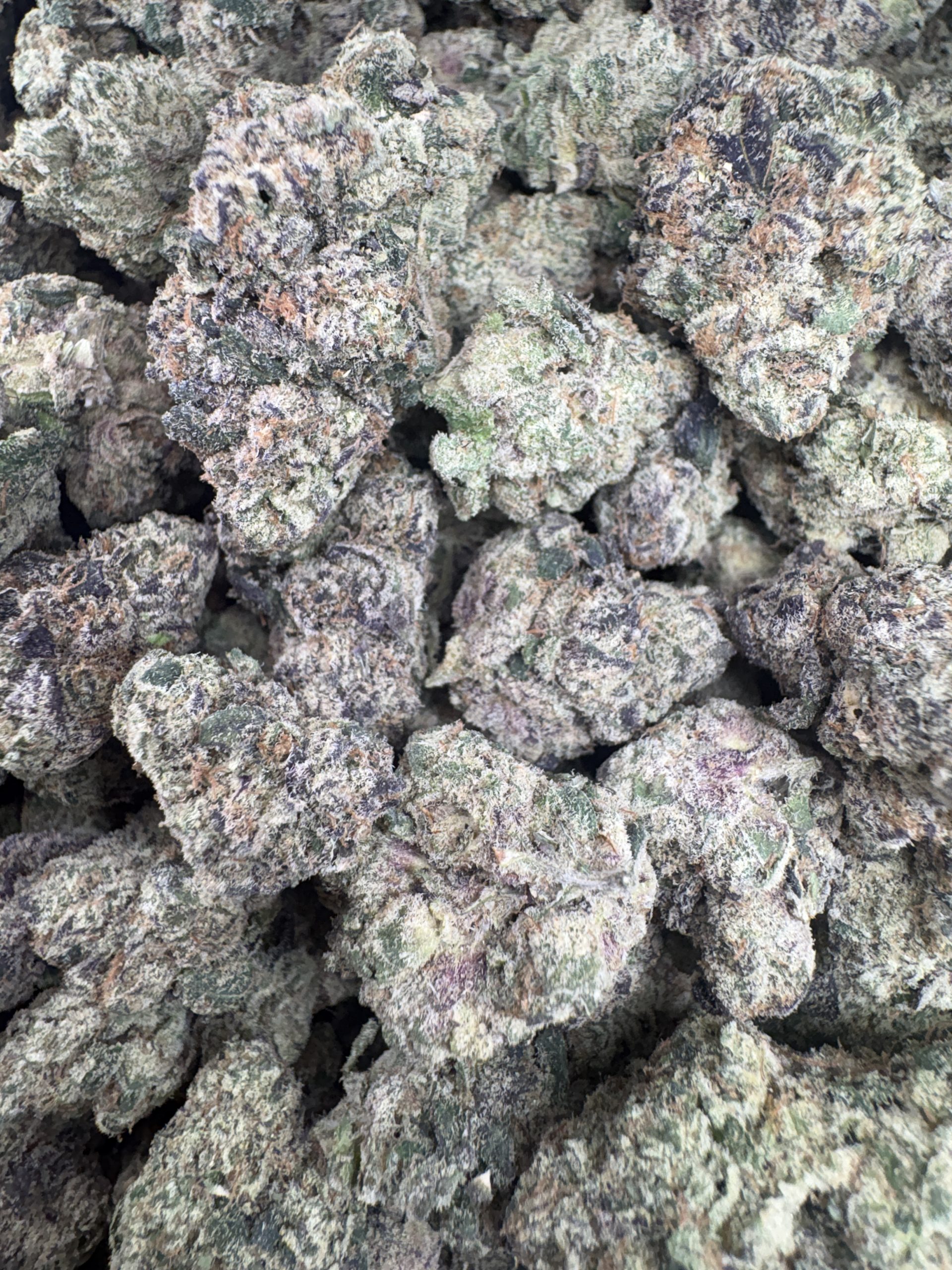Project Z $125/oz!!