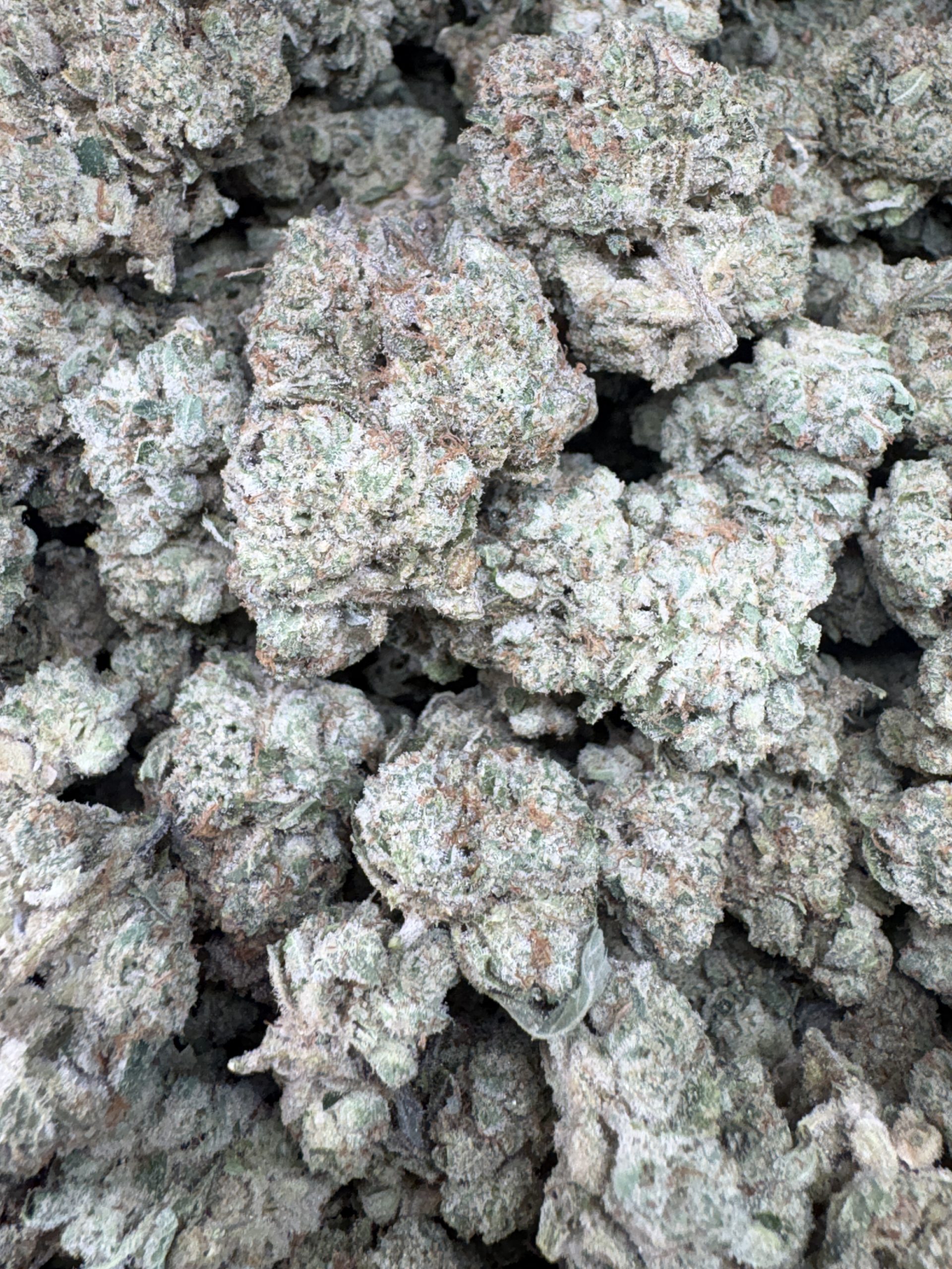Banana OG $125/oz!!