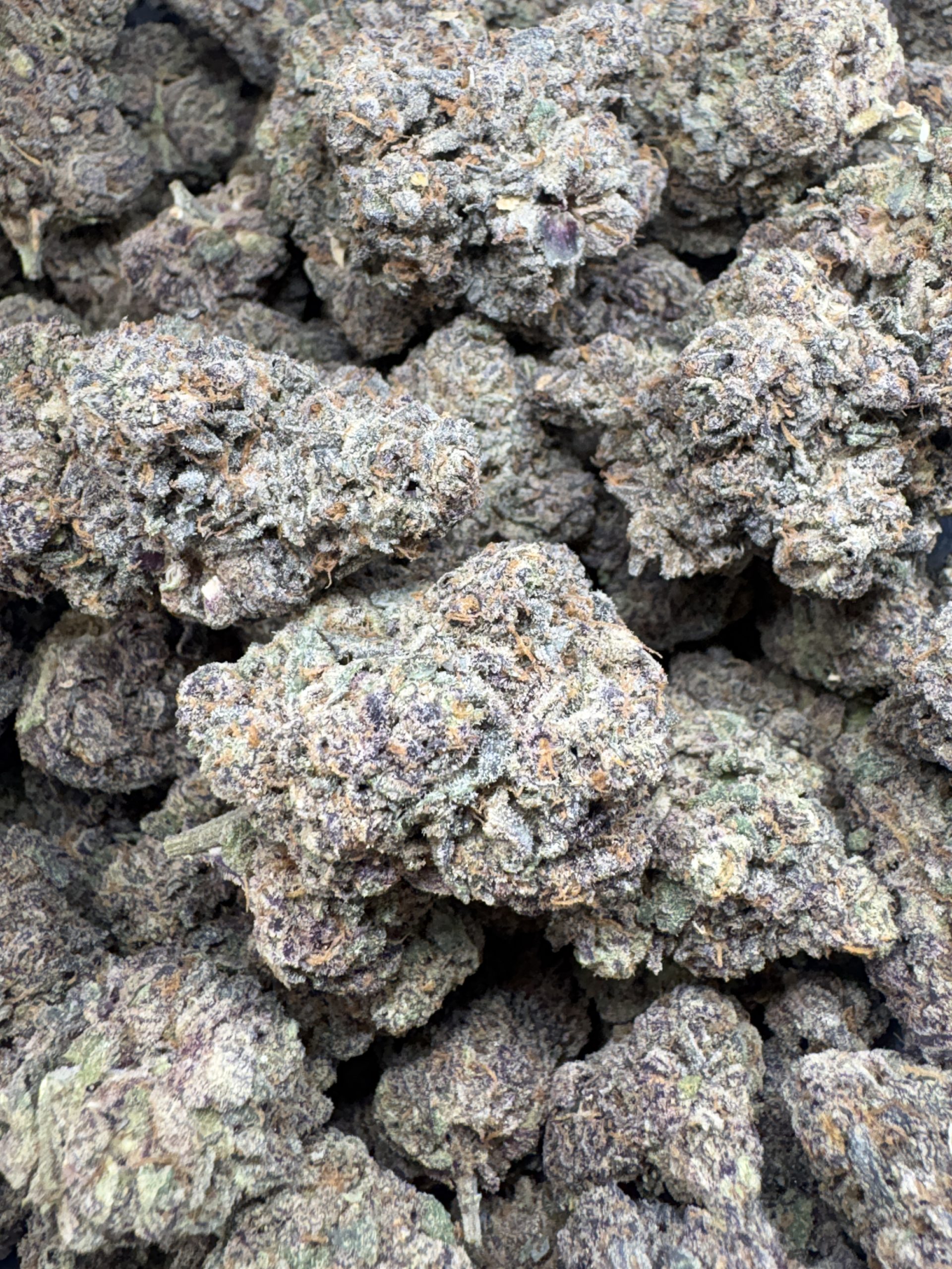 Z41 $125/oz!!
